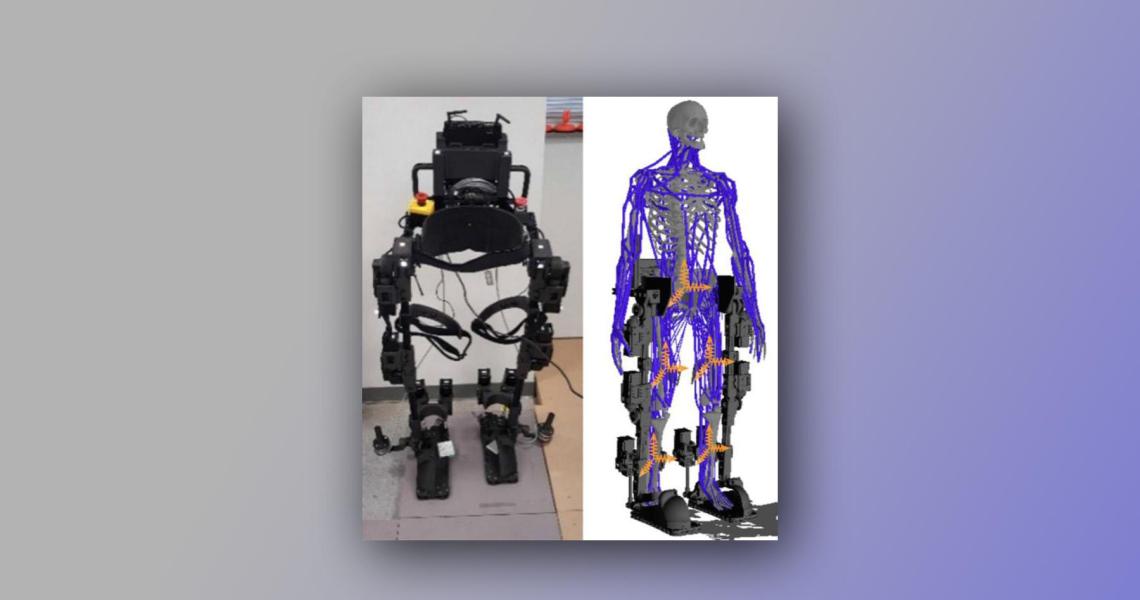  (Left) The developed prototype of the lower extremity robotic exoskeleton (LE-RE). (Right) The integrated musculoskeletal and exoskeleton model. Credit: Luo S, et al. Journal of NeuroEngineering and Rehabilitation 20, no. 1 (2023) 
